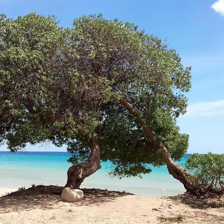 Trappeto Dellago With Sea View, Pool, Parking & Wi-fi Avola