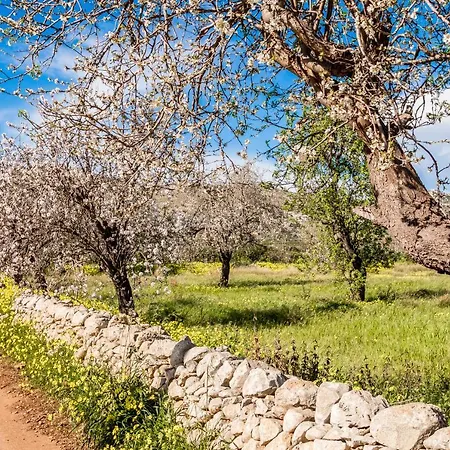 Trappeto Dellago With Sea View, Pool, Parking & Wi-fi Villa *